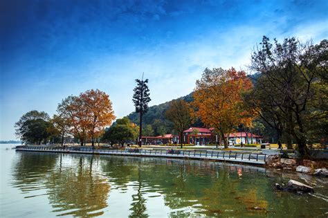 Moshan Park in Wuhan East Lake Greenway, China by ATLAS - 谷德设计网