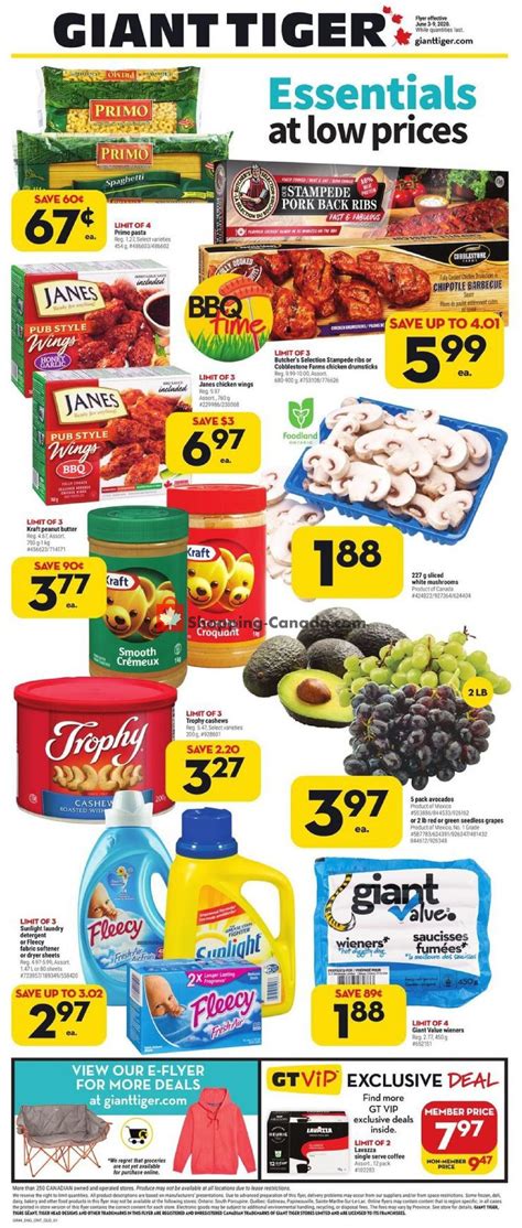 Giant Tiger Canada, flyer - (Essentials At Low Prices - ON): June 3 - June 9, 2020 | Shopping Canada