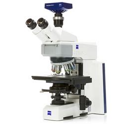 Optical Microscopy - Light Microscopy | Microscope World