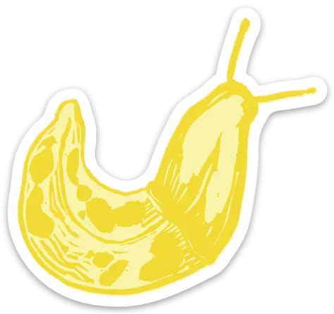 BANANA SLUG sticker – MOSS