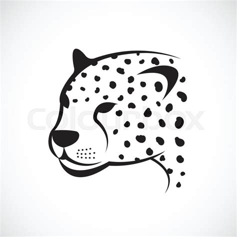 Vector image of an cheetah face on ... | Stock vector | Colourbox