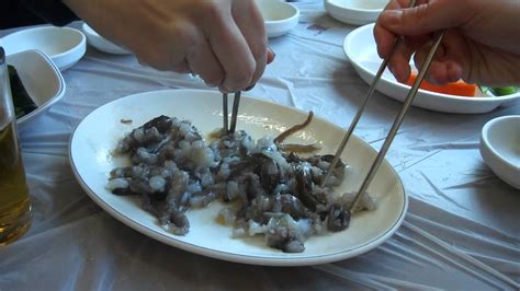 Eating live octopus in Korea! - YouTube