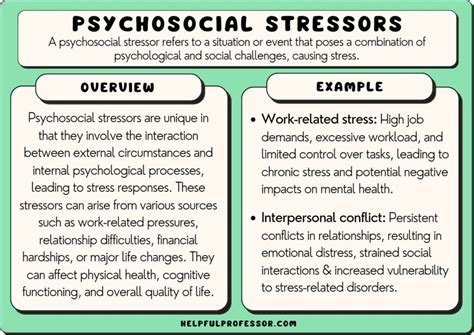 Psychosocial Stressors: Examples, Definition, Overview (2024)