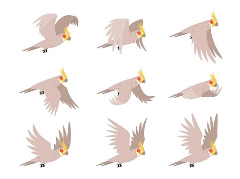 Premium Vector | Cartoon cockatoo parrot fly animation frames sequence. animated sprites loop of ...