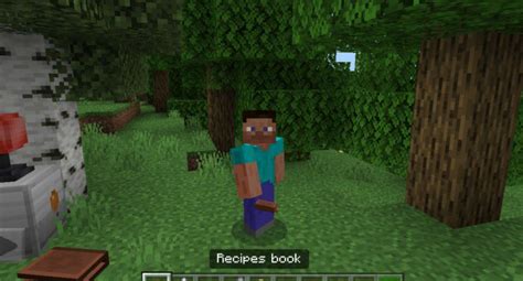 Download Education Edition Mod for Minecraft PE: the learning process