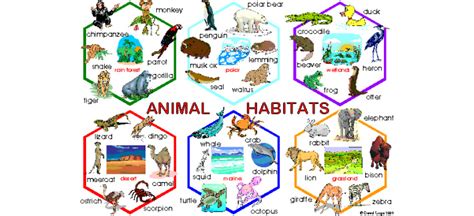 Types Of Habitats And The Animals That Call Them Home A-Z, 59% OFF