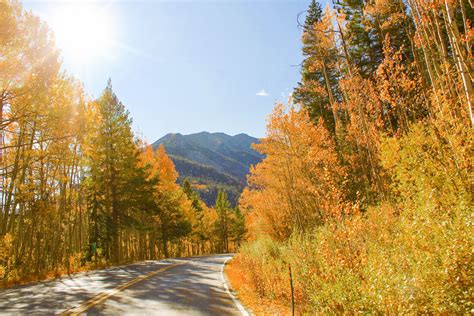 Guide to Leaf Peeping in Aspen, Colorado - Color By K