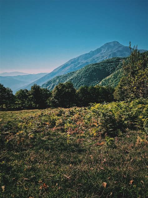 Albanian nature 24/10/2019 (Tropoje) : r/albania