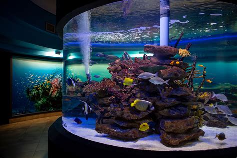 Two Oceans Aquarium closed for first time in 24 years