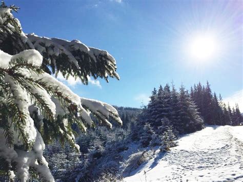 The Highest Ski Resort in Romania - Sibiu Guide Nico