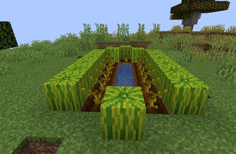 Minecraft Pumpkin Farm Layout