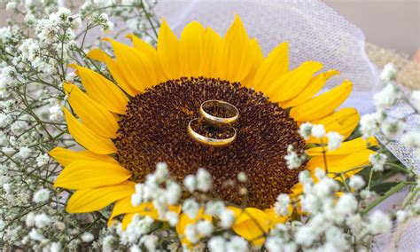 21 Sunflower Wedding Theme Ideas You'll Love | Yellow Wedding Scheme