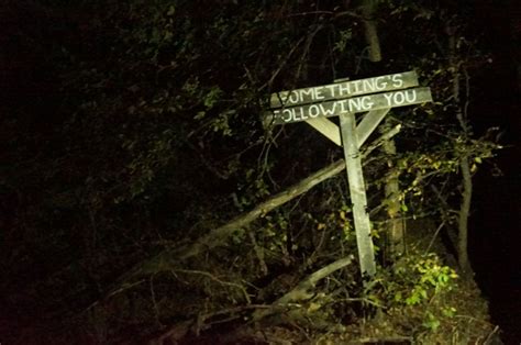 Haunted Gallery – Haunted Shadows Lake Trail