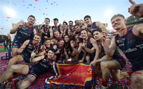 Norwood win 2022 Hostplus SANFL League Premiership - Norwood Football Club