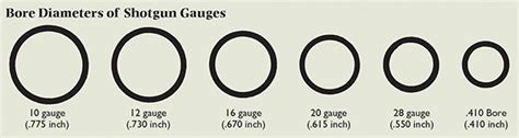 Shotgun Gauges | Understanding the Basics - NSSF Let's Go Shooting