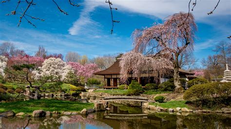 The Subaru Cherry Blossom Festival of Greater Philadelphia — Visit Philadelphia