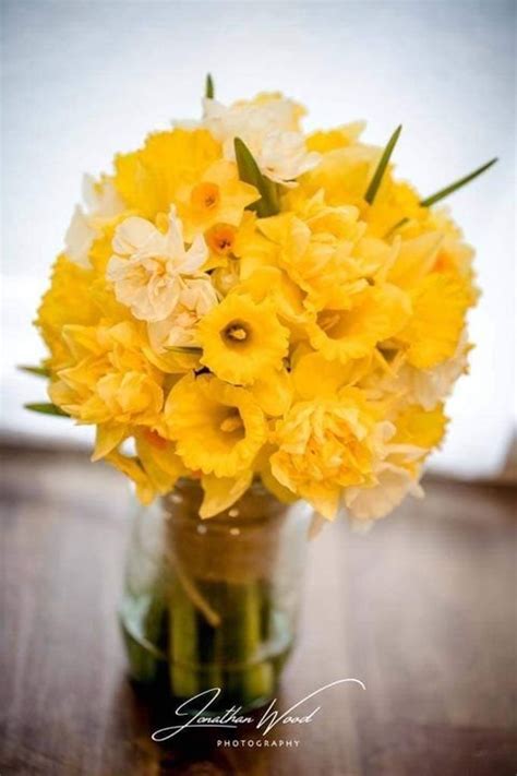 Daffodil wedding flowers — Petal Power