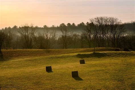 5 common types of hay found in the U.S. | AGDAILY