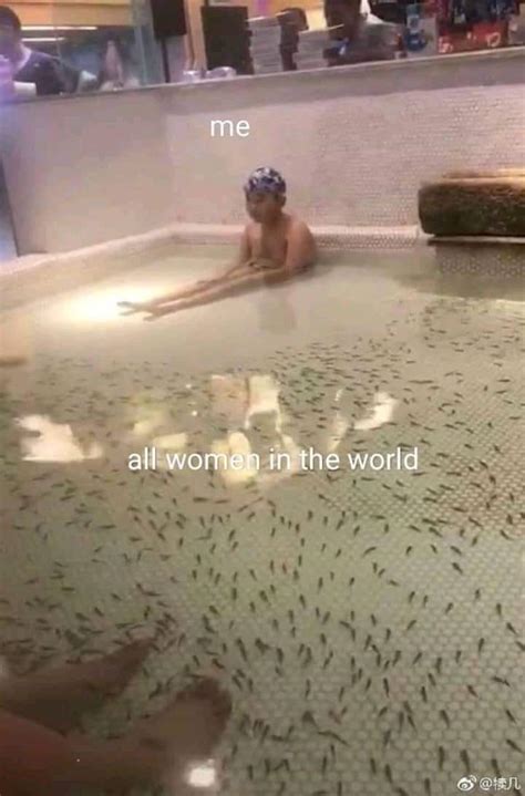 Plenty more fish in the sea... : r/memes