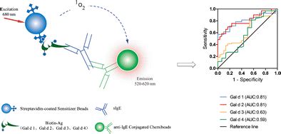 Development of a light-initiated chemiluminescent assay for the quantitation of sIgE against egg ...