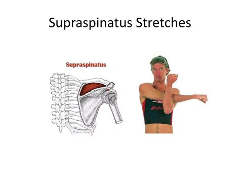 Supraspinatus Stretch