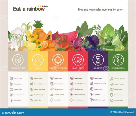 Eat a rainbow stock vector. Illustration of infochart - 71001706