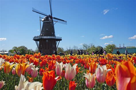 12 Fun Things to Do in Holland, Michigan • My Michigan Travel