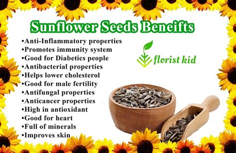 Sunflower Seeds Benefits, Nutrition, And Side Effects