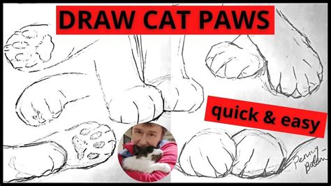 How To Draw A Cat Paw Print