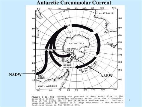 PPT - Antarctic Circumpolar Current PowerPoint Presentation, free download - ID:1735179