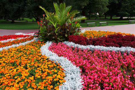 Flower Bed In The Park Free Stock Photo - Public Domain Pictures