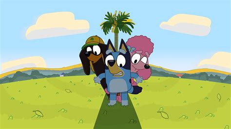 Bluey : ABC iview