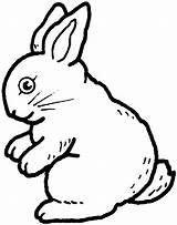 Free Printable Rabbit Coloring Pages For Kids sketch template