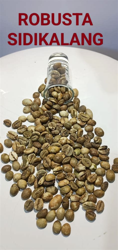 Robusta Coffee Beans | Inaexport