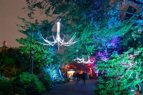 Review of Lightscape at Brooklyn Botanic Garden — Distill Creative