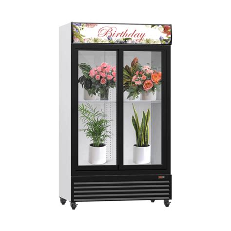 Floral Cooler Fridge in 1 2 3 Doors for Flower Storage Display & Promotion