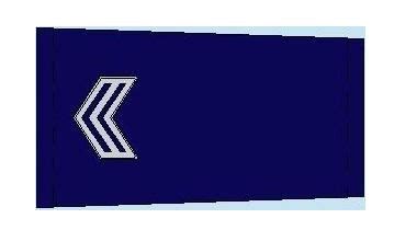 Israeli Police Rank Display - News - Nanjing Yizhijin Garment Accessory ...