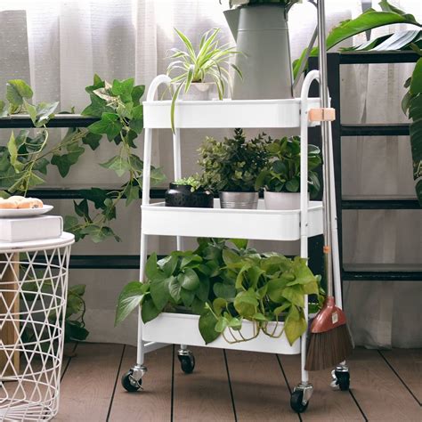 22 Best Plant Stands 2019