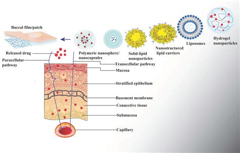 An Updated Overview of the Emerging Role of Patch and Film-Based Buccal ...