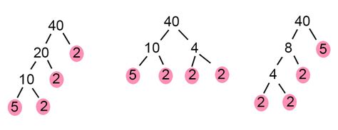 1001 Math Problems : Factor Trees