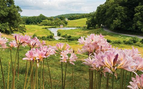 Winterthur Museum, Garden & Library - Americas Garden Capital