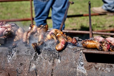 Bull Testicles: Nutrition and Benefits of “Rocky Mountain Oysters” - Dr ...