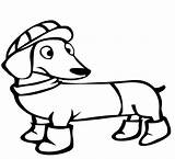 Dachshund Coloringpagesonly Sketch Coloring Page sketch template