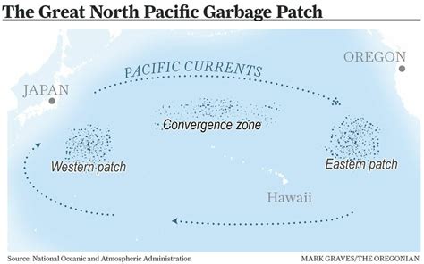 The Great Pacific Garbage Patch Now So Big It Has Its Own Ecosystem ...