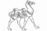 36 Camel Coloring Pages  Free & Printable For Kids And Adults sketch template