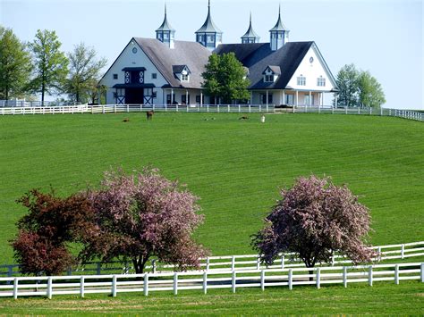 19+ Pictures of kentucky horse farms ideas | smallhorsestabledesigns