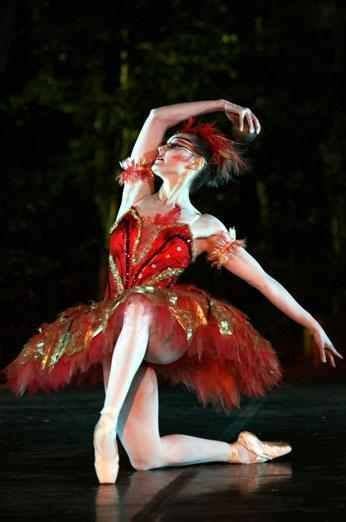 Firebird | Ballet art, Ballet costumes, Ballet beautiful