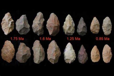 Ancient stone tools show the pace of remarkable technological ...