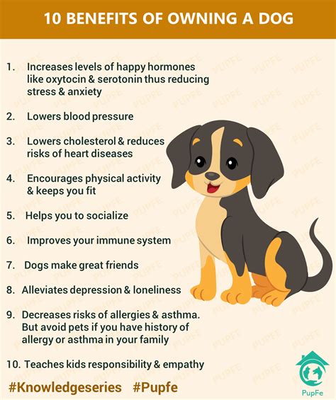 PupFe PetCare - Here are the benefits of having a dog :)...