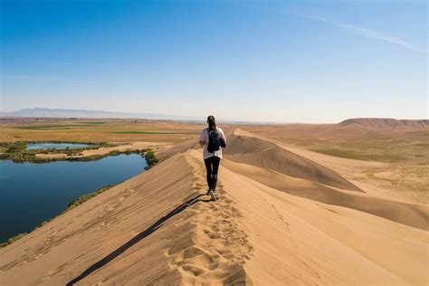 Day hike at Bruneau Sand Dunes state park, Idaho with this beauty. : r/hiking